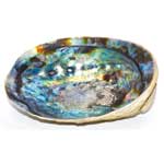 5"–6" Abalone Shell Incense Burner
