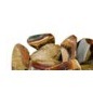 Jasper, Polychrome Polished 1 Side — 1 lb